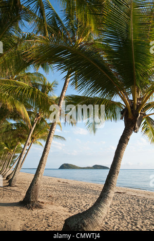 View along beach at Palm Cove with Double Island in background. Palm Cove, Cairns, Queensland, Australia Stock Photo