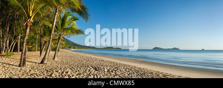 Coconut palms on beach at dawn with Double Island in background. Kewarra Beach, Cairns, Queensland, Australia Stock Photo