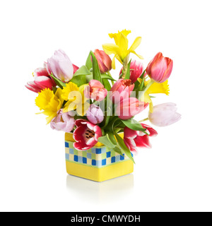 Yellow flower pot with tulips and daffodils on white background Stock Photo