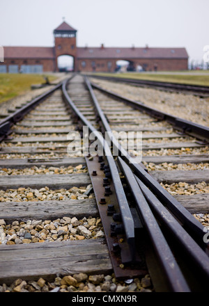 The infamous railway tracks leading into the Auschwitz II, Birkenau concentration camp, Poland Stock Photo