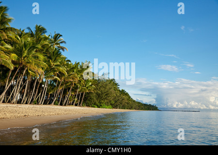 View along Palm Cove beach at dawn. Palm Cove, Cairns, Queensland, Australia Stock Photo