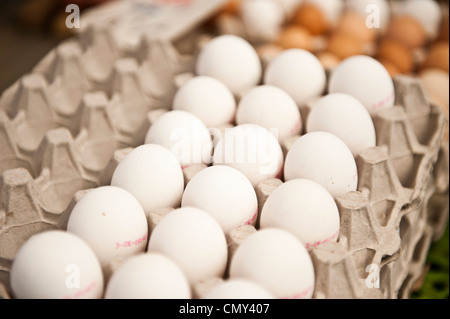A fresh carton of 18 eggs aligned vertically. Stock Photo