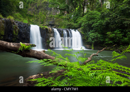 Nandroya Falls in Wooroonooran National Park, Innisfail, Queensland, Australia Stock Photo