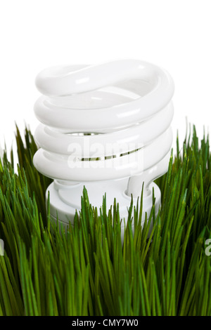 Compact Fluorescent Lightbulb and green grass Stock Photo