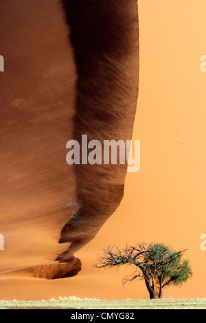 Sand dune during storm sculptured by wind. Stock Photo