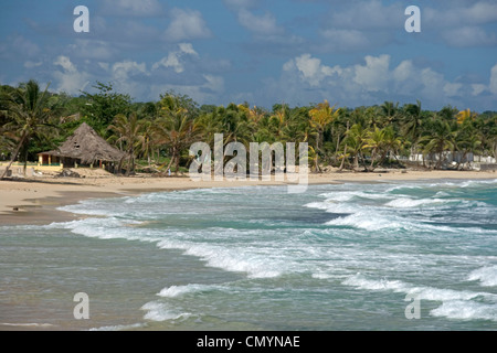 Jamaica Long bay at east coast after Hurricane Dean destroyd  palm trees and beach bars and houses Stock Photo