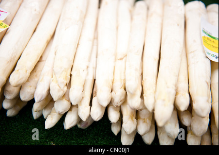 A bunch of white asparagus stacked on top of each other. Stock Photo