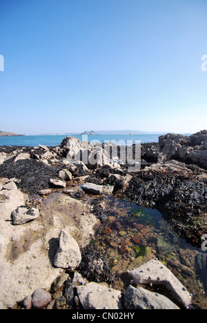 Plymouth Sound and Drakes Island from Cremyll in Cornwall with rock pools and rocks in the foreground Stock Photo