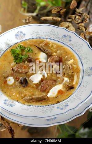 Cabbage soup from Eger, Hungary Stock Photo