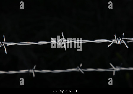 Barbed wire on black background. Stock Photo
