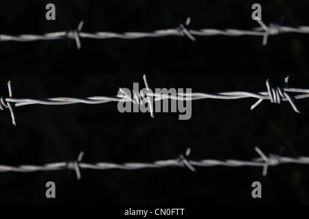 Barbed wire fence on black background. Stock Photo