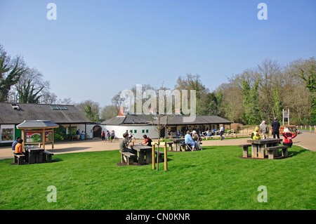 Information Centre and cafe, Box Hill, Dorking, Surrey, United Kingdom Stock Photo