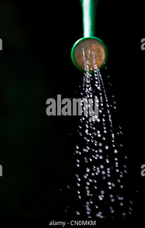 Water coming from a seedling watering can against a dark background Stock Photo