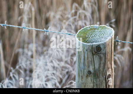 Frosty barbed wire and fence post in the english countryside. Shallow DOF Stock Photo