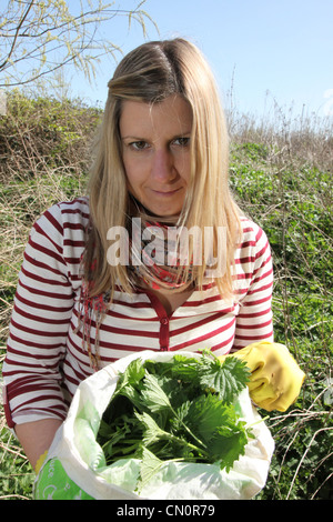 Woman foraging for stinging nettles in English countryside Stock Photo