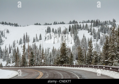 Ice and snow on scenic drive at 'Medicine Bow' National Forest in southern Wyoming. Stock Photo