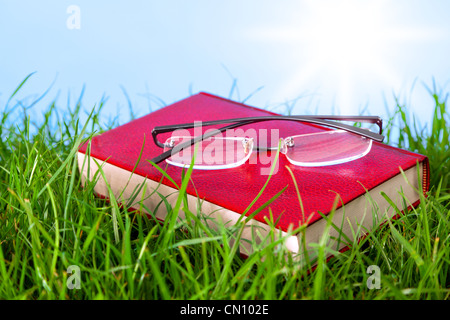 Photo of a red hardback book in grass on a sunny day with spectacles on top. Stock Photo