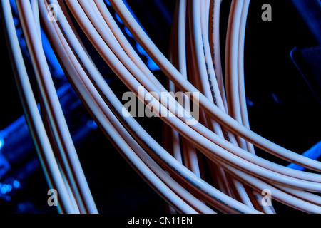 close up of network cables Stock Photo