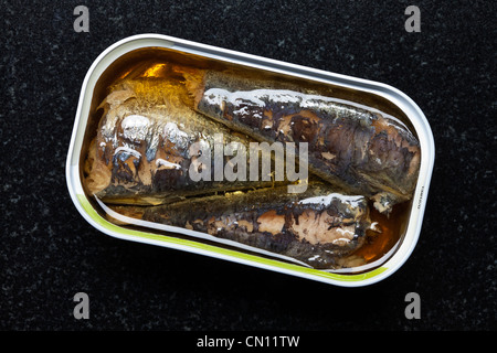 Tin of Sardines open Stock Photo