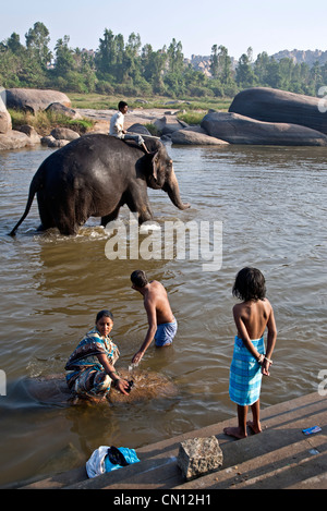 Elephant in a river. Hampi. Karnataka. India Stock Photo