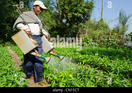 Farmer watering his vegetable garden. Ye Saing Kone village near Labutta. Irrawaddy delta. Myanmar. Stock Photo