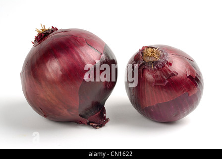 Two onions on white background Stock Photo