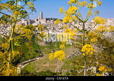 Italy, Basilicate, Matera, semi-cave built borough (Sassi) listed at the World Heritage by UNESCO, where Pier Paolo Pasolini's Stock Photo