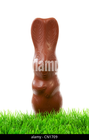 Chocolate easter bunny on grass over white background Stock Photo