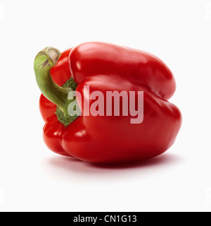 One Red Bell Pepper Stock Photo