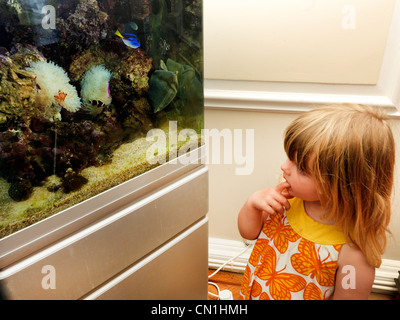 Young Girl Looking At Fish In Saltwater Fish Tank Stock Photo