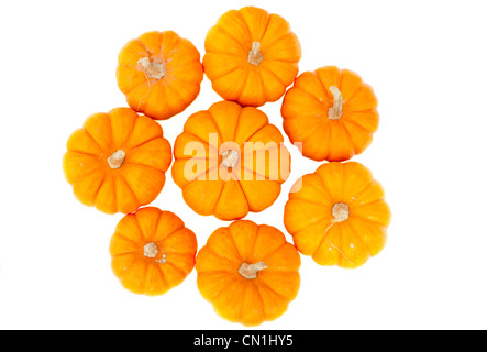 Decorative pumpkins isolated on white Stock Photo