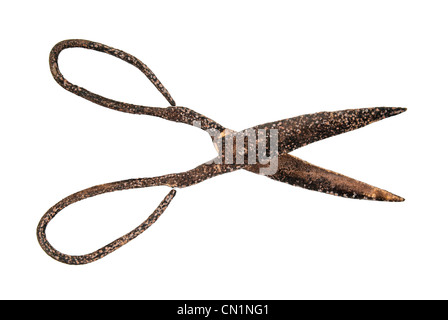 A pair of very old and rusty scissors on a white background Stock Photo