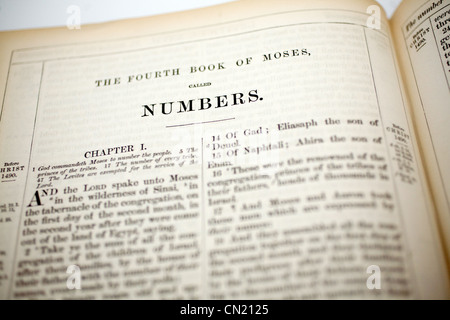 The Book Of Numbers Bible Heading Stock Photo - Alamy