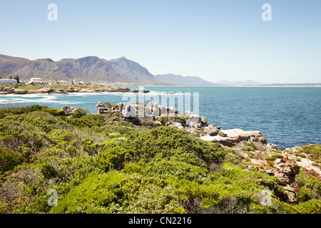 Coastline at Hermanus, near Cape Town, South Africa in the spring sunshine Stock Photo