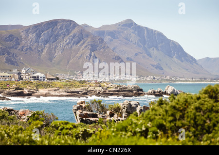 Coastline at Hermanus, near Cape Town, South Africa in the spring sunshine Stock Photo