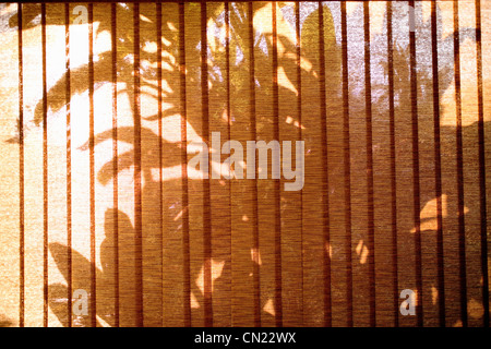 Palm tree shadows seen through window blinds Stock Photo