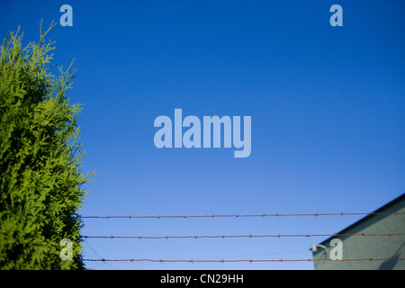Barbed wire fence against a clear blue sky Stock Photo - Alamy