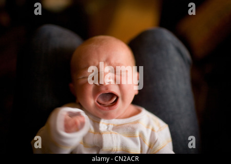 Newborn baby boy crying on parent's lap Stock Photo