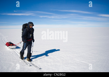 Polar expedition explorer hauling sledge, Greenland - MR Stock Photo
