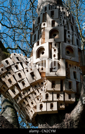 bird nesting boxes on tree trunk, norfolk, england Stock Photo