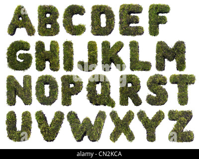 Latin alphabet letters made from grass on white Stock Photo