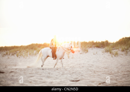 Man riding horse on the beach Stock Photo - Alamy
