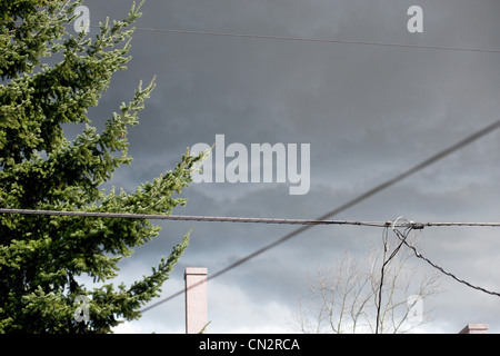 Storm clouds over trees and telephone lines Stock Photo