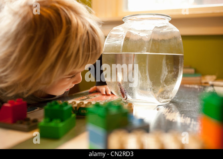 Young boy looking in goldfish bowl Stock Photo