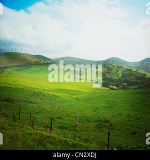 Wind turbines on hill in distance Stock Photo