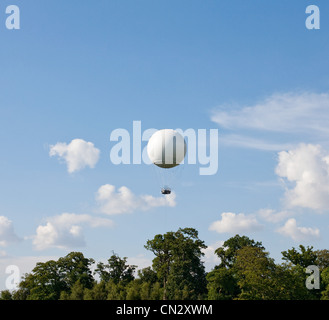 White hot air balloon above trees