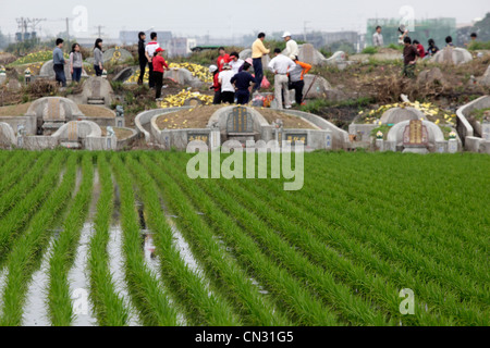 Ching Ming Festival Stock Photo