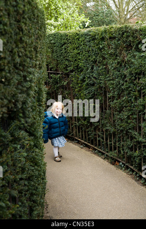 A toddler / child walks / walking in the maze at Hampton Court Palace. Middlesex. UK. Stock Photo