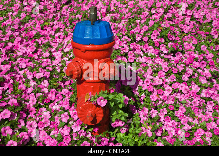 Fire hydrant and pink flowers Stock Photo