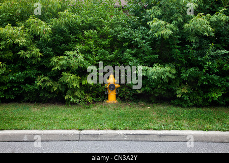 Fire hydrant on verge Stock Photo